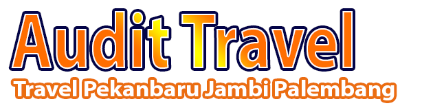 Audit Travel